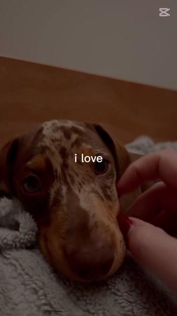 @Maddison Coleman