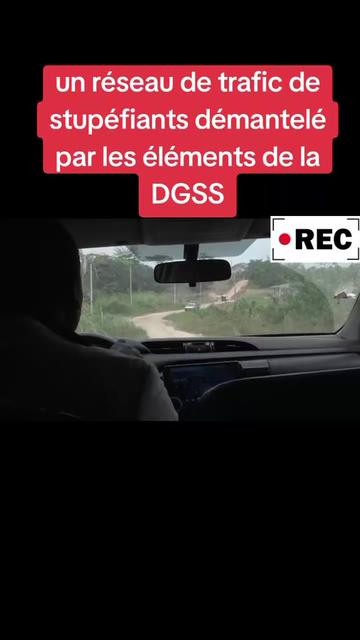 @InfoFlash