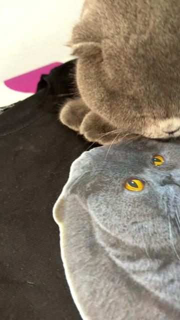 @BOBI🐈⬛