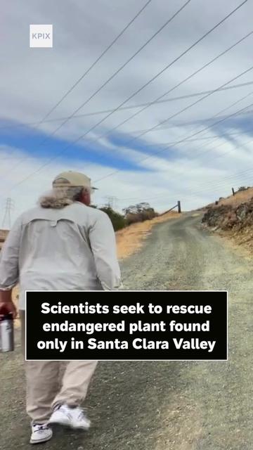 @KPIXTV