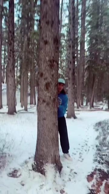 @yansied