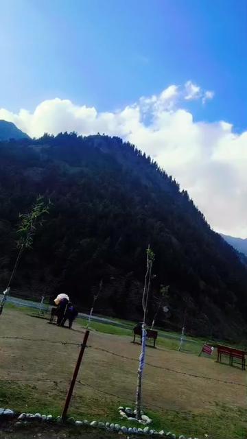 @chaudharysalman