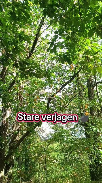 @berndout