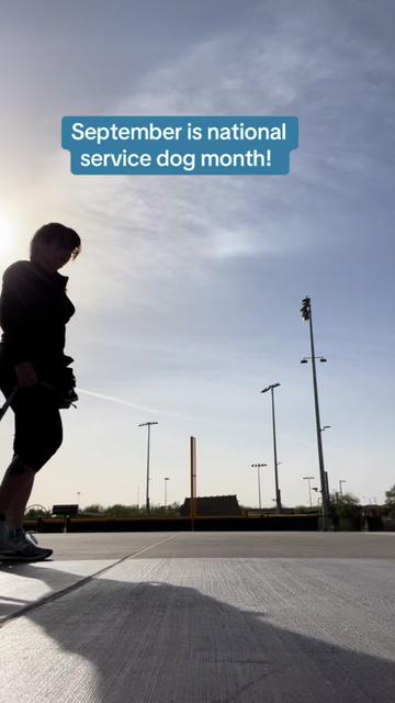 @Ray & Stormi 🏳️🌈| dog nerd