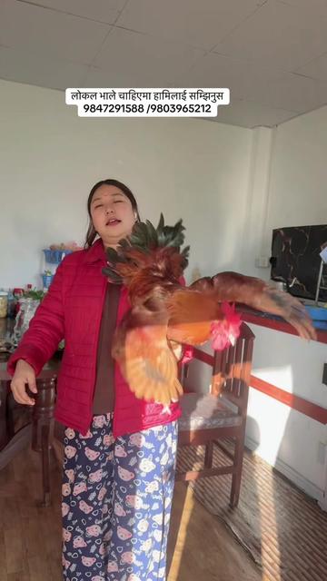 @uma chamling Rai