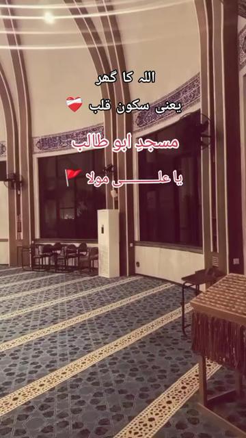 @🦁Saqib Turi 313🦁