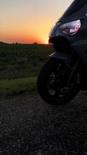 @konner_01