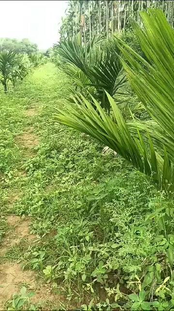 @Sayed karnatak