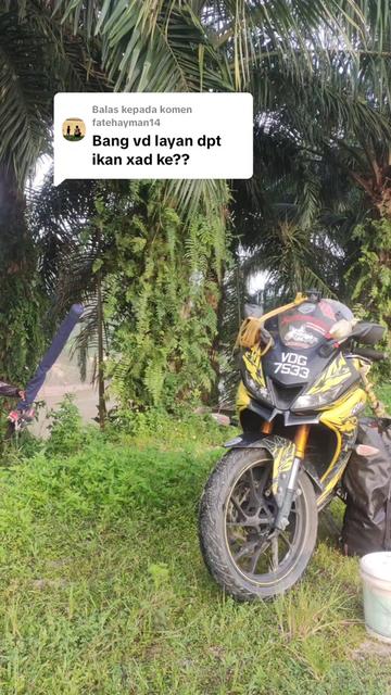 @wan caster™