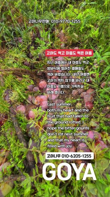 @🔥고물급남자