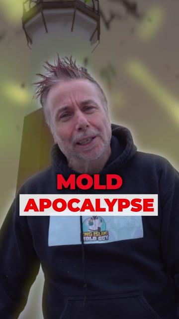 @Long Island Mold Guy