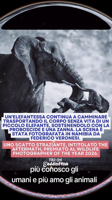 @titty margo lucrezia