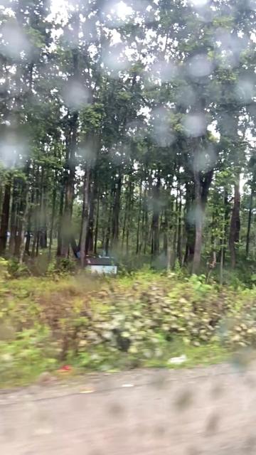 @Shrutika Dhungana