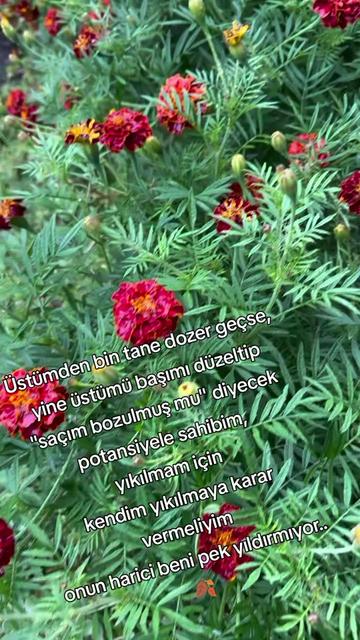 @BİR SERÇENİN GÖZYAŞ🕊️🕊️🕊️