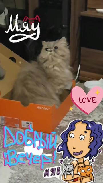 @Ainagul