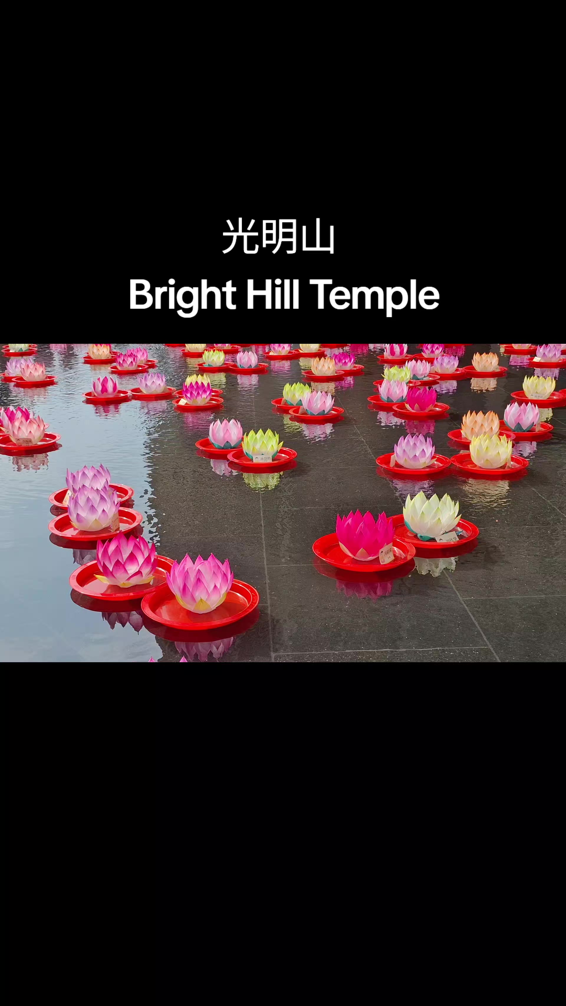 @user870761291605