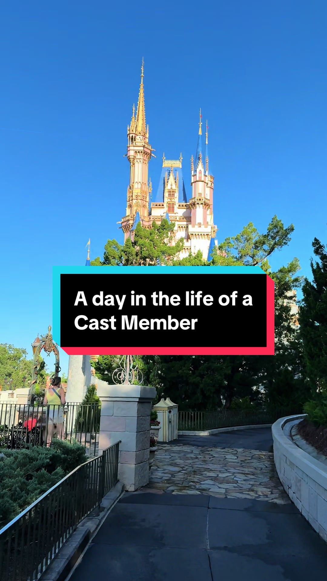 @Disney Dreamer