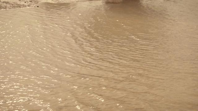 @jebelhafitdesertpark
