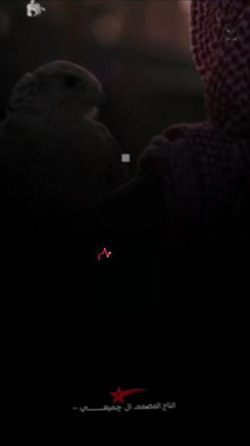 @المصمم ~ال جميعـــي ⚖️🎶🥇