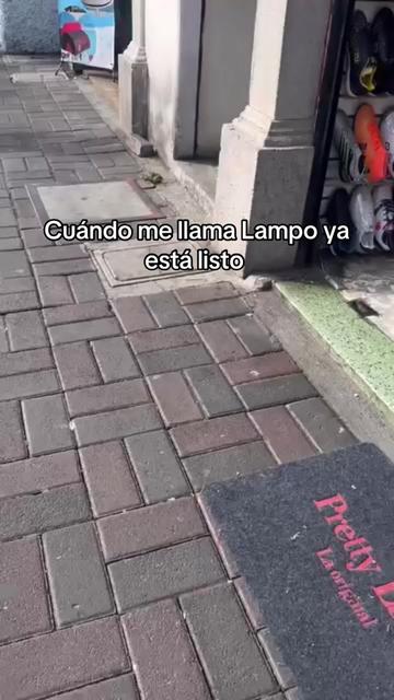 @Sol-Argueta 🐾🍓