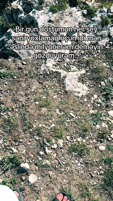 @DİMA ✅️