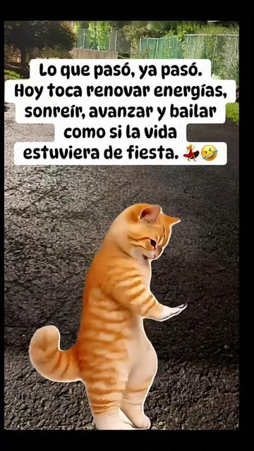 @Pedro Cruz