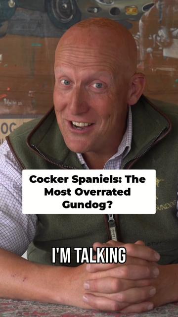 @Mordor Gundogs