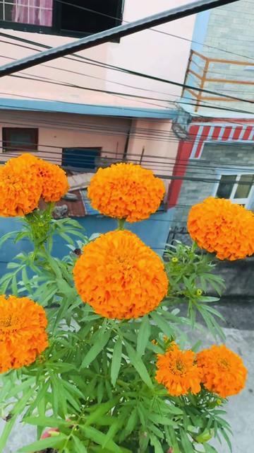 @Radhakrishna🙏