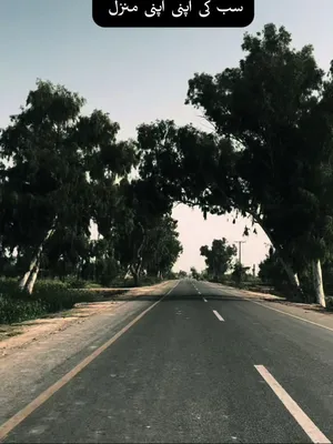 @Goraya sab 🥀