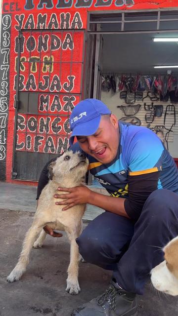 @Cabezotas 🐶
