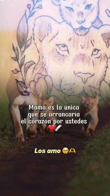 @anilu