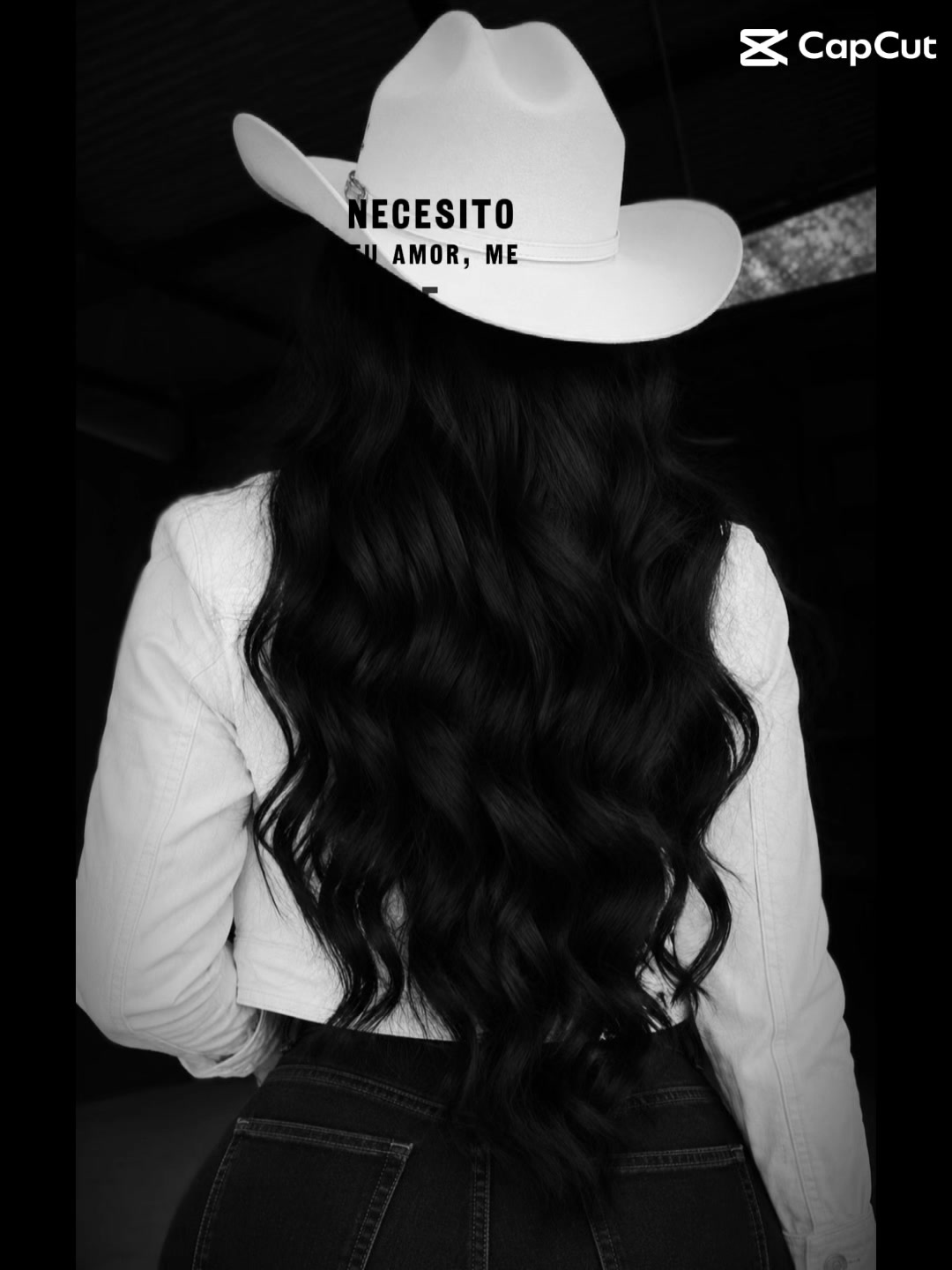 @rosapedraza48