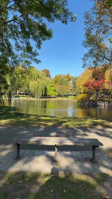 @Meet Boston