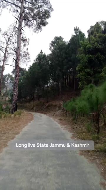@Imran Mushtaq Chauhan