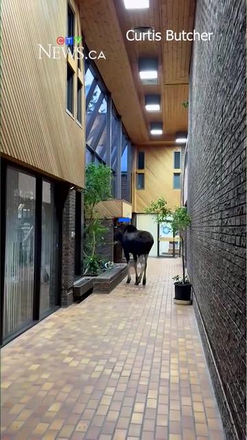 @CTV News Calgary
