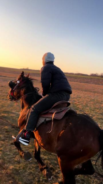 @BERTI RANCH 🐎