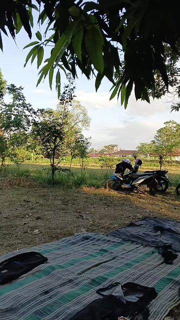 @HAMBALI