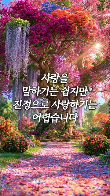 @빛의 씨앗