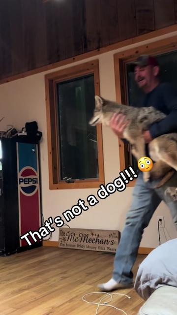 @ittybittyfarm1
