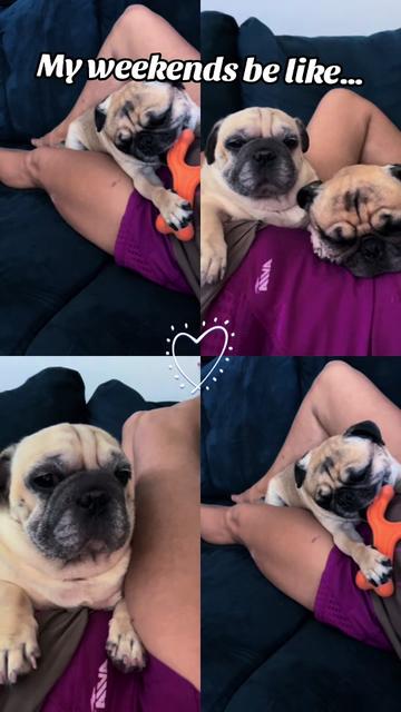 @✨🦋Glen_Totz🦋✨