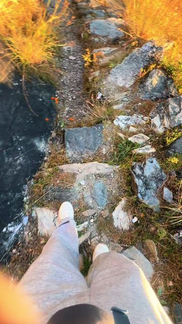 @थिँयाल 🌿