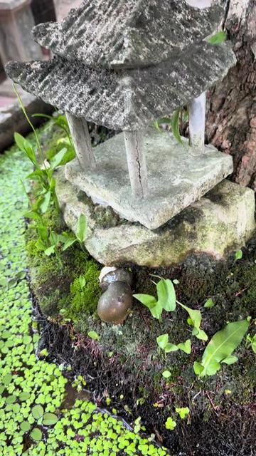 @💗 Hương Chí Phèo 💗