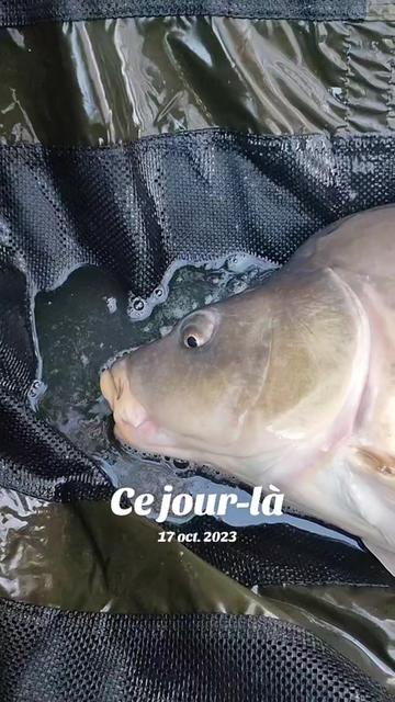 @Jocarpfishing
