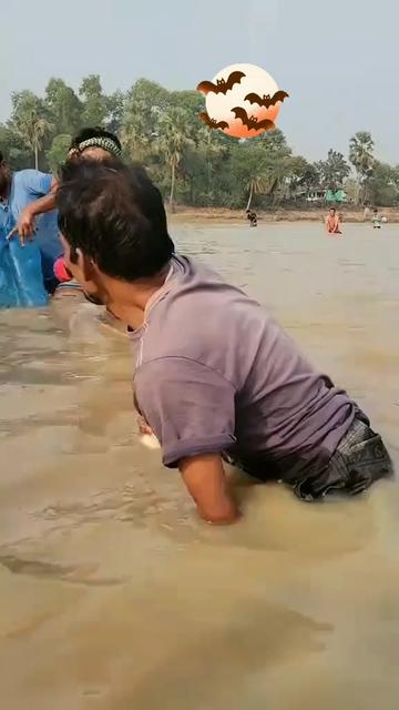 @☘️ মেঘ-ময়ূরী 🌷