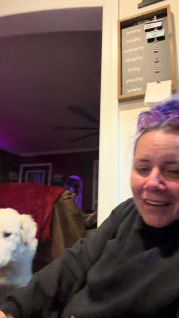 @hairstylingdoglady