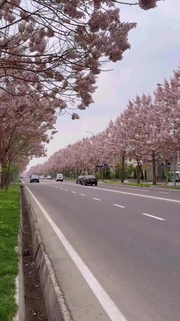 @UZ QURILISH