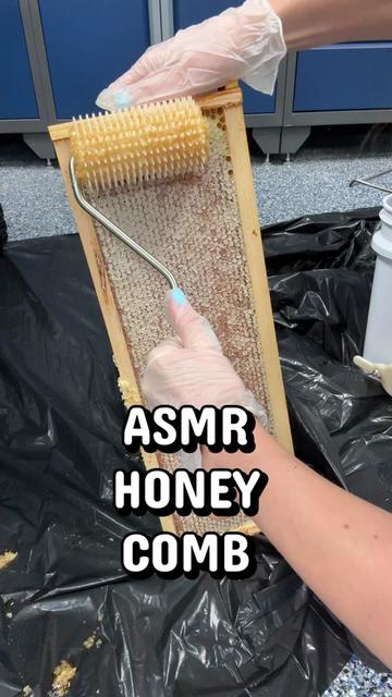 @homewithlogan