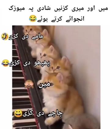@Sweetie 🇵🇰🇺🇸💫💕💞
