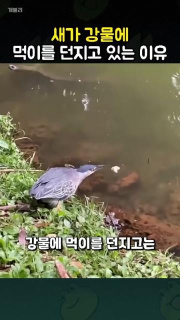 @개블리