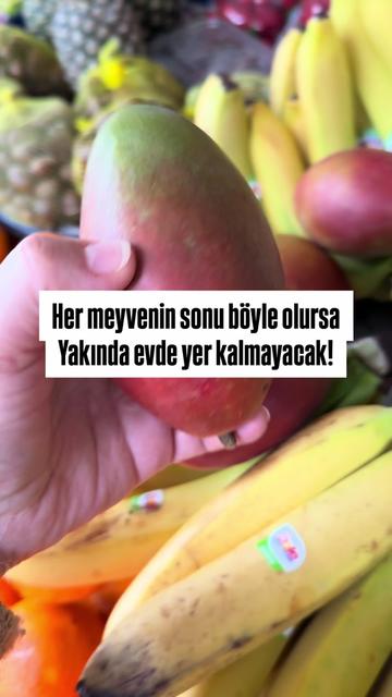 @yesillihanm